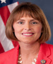Rep. Katherine Anne Castor (D)