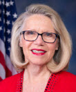 Rep. Carol Devine Miller (R)